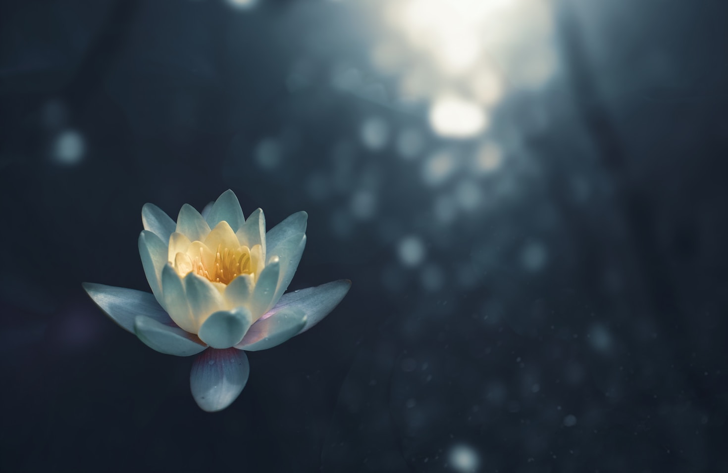 Breaking Myths About Mindfulness: What You Need to Know